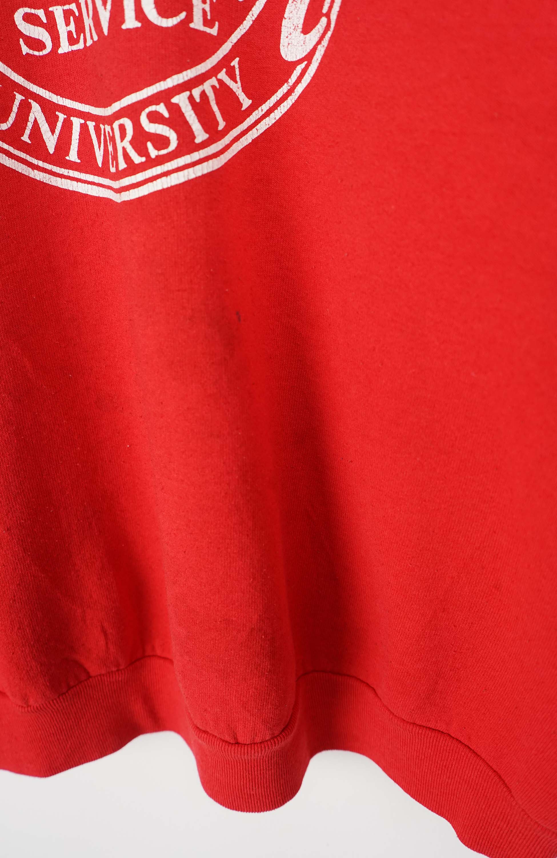 VINTAGE ILLINOIS STATE SWEATER (M) - Image 2